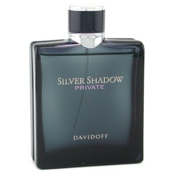 عطر ادکلن دیویدوف سیلور شادو پرایوت | Davidoff Silver Shadow Private